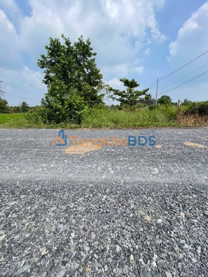 Đất Mặt Tiền Nguyễn Đức Hùng, Q6 - 600m² Thổ Cư, Sổ Riêng Giá 5.5 Tỷ