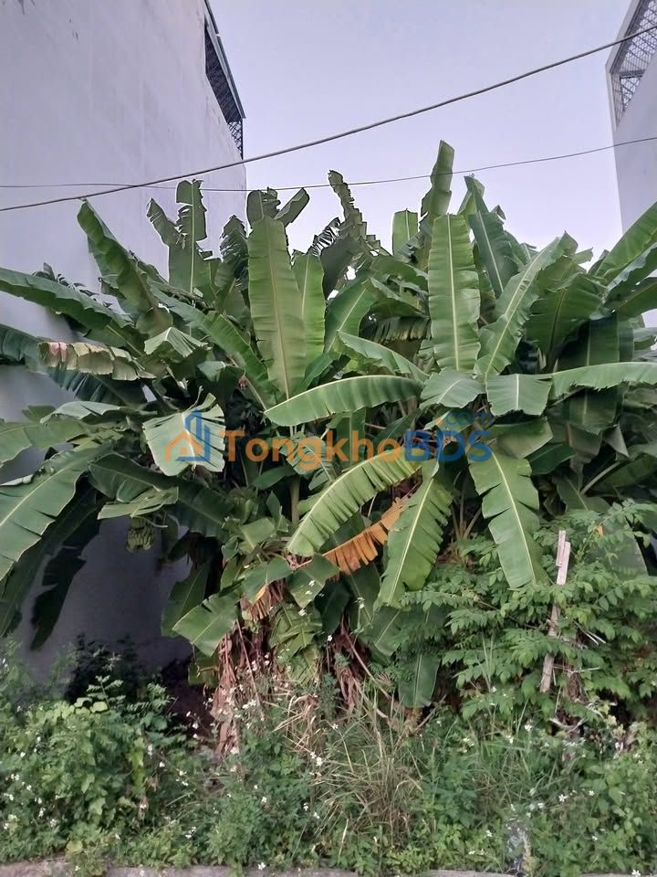 Đất nền Phú Xuân Nhà Bè 84m² - Hẻm xe tải, giá 4.6 tỷ