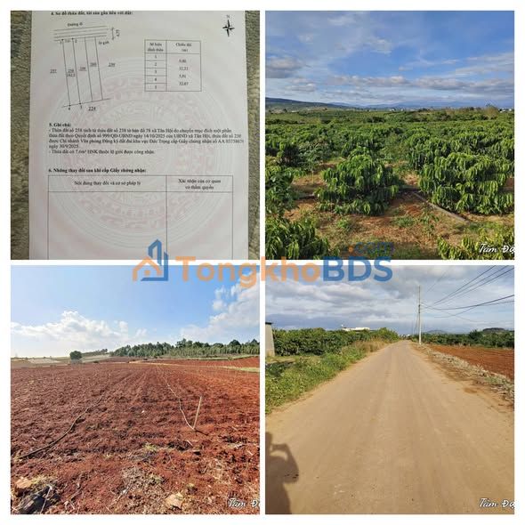 Đất Nền Sổ Hồng Riêng Tân Hội, Lâm Đồng - 160m² View Đẹp, Giá Thỏa Thuận