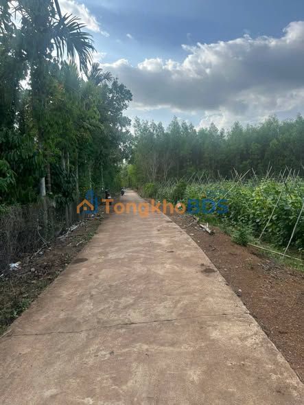 Đất Vườn Đồng Nai 5000m² - Sổ Hồng Chính Chủ - Giá Đầu Tư 2 Tỷ