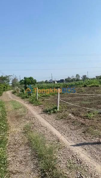 Bán Đất Vườn Xuân Lộc 1360m² - Mặt Tiền Đường Xe Hơi Giá 8 Tỷ