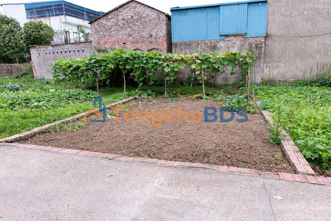 Đất Nền Văn Lâm Hưng Yên 56m² - Sổ Đỏ Nở Hậu, Ô Tô Đỗ Cửa