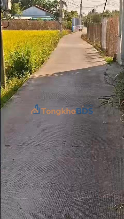 Đất Vườn 2000m² Thuận Thành, Cần Giuộc - Sổ Đỏ, Giá Tốt