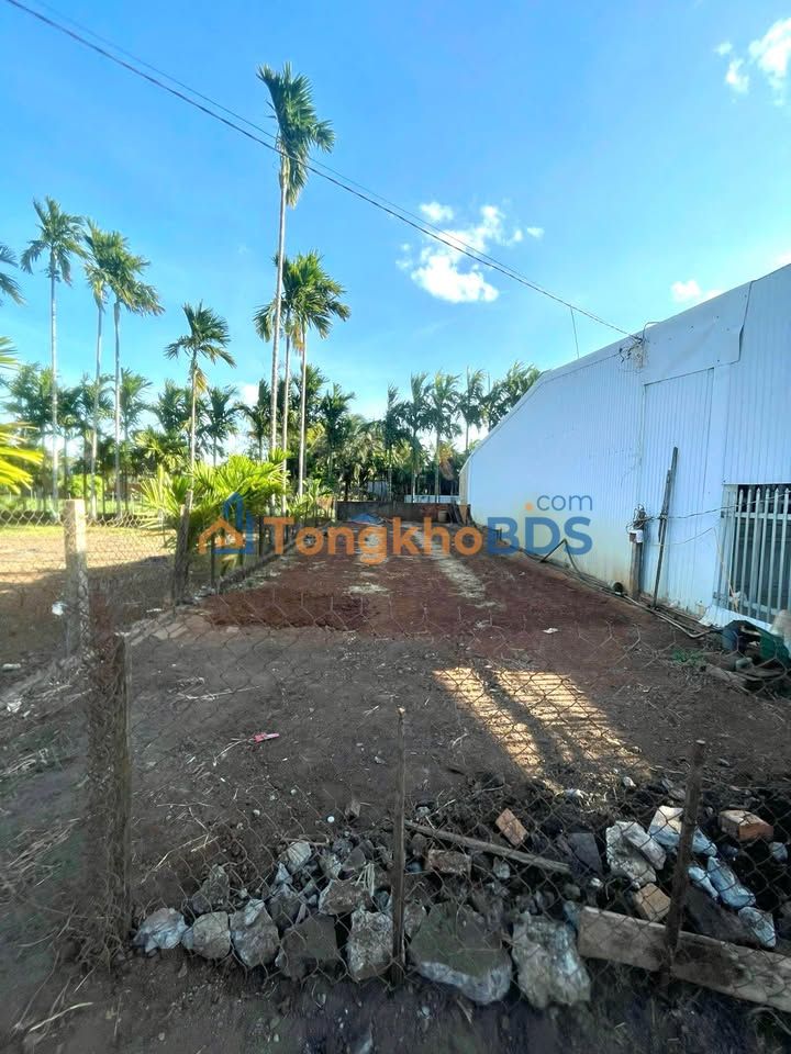 Bán Đất Cư Suê 120m² (6x20m) - Giá 860 Triệu, Sổ Thổ Cư, Gần Trung Tâm BMT