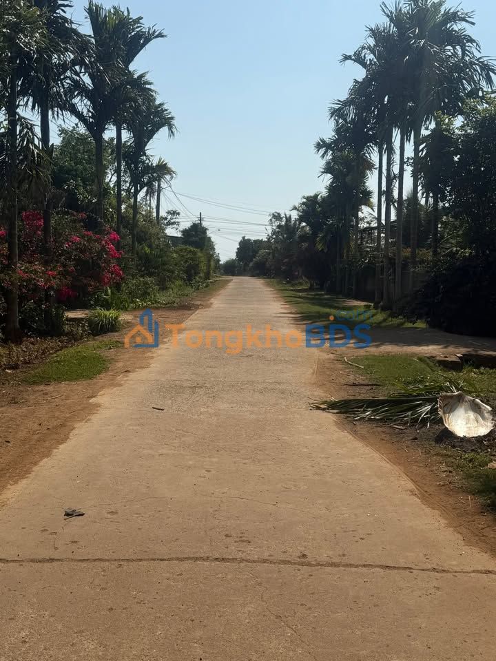 Đất nền Xã Ea Puk, Krông Năng 175m² - Sổ đỏ TC 60, Giá 2.4 tỷ