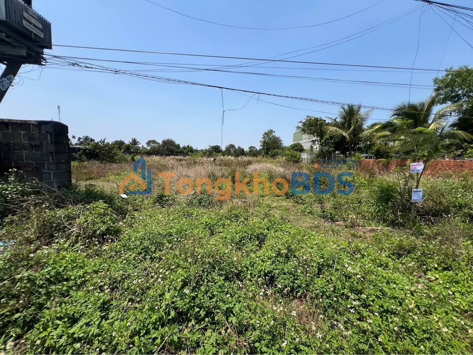 Đất Vườn Buôn Hồ 1440m² Sổ Đỏ Thổ Cư - View Đồng Mộng Mơ