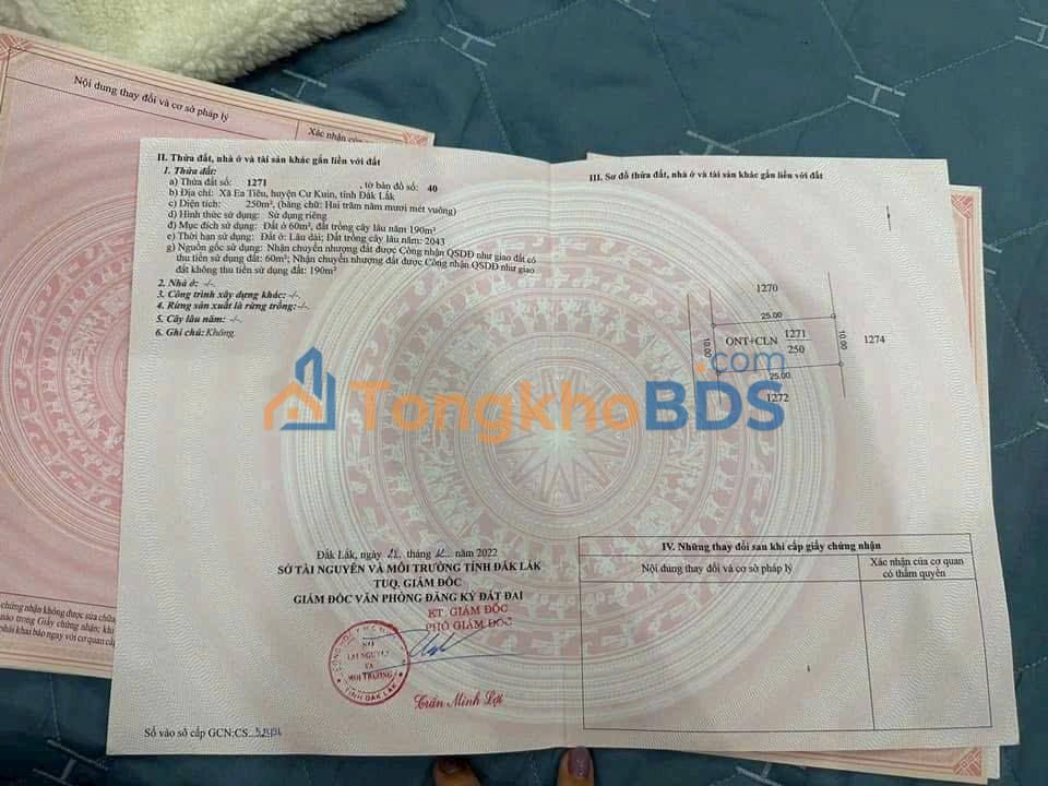 Bán Đất Ea Khal, Đắk Lắk 250m² - Chỉ 545 Triệu, Đường Ô Tô Tới Nơi