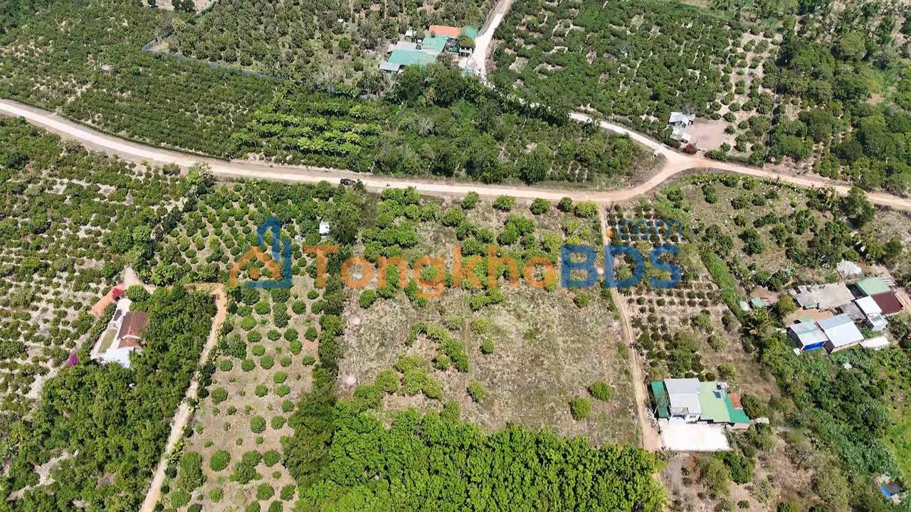 Đất Nền Đắk Lắk 6300m² - Hai Mặt Tiền Đường Bê Tông, Giá Đầu Tư 1.7 Tỷ