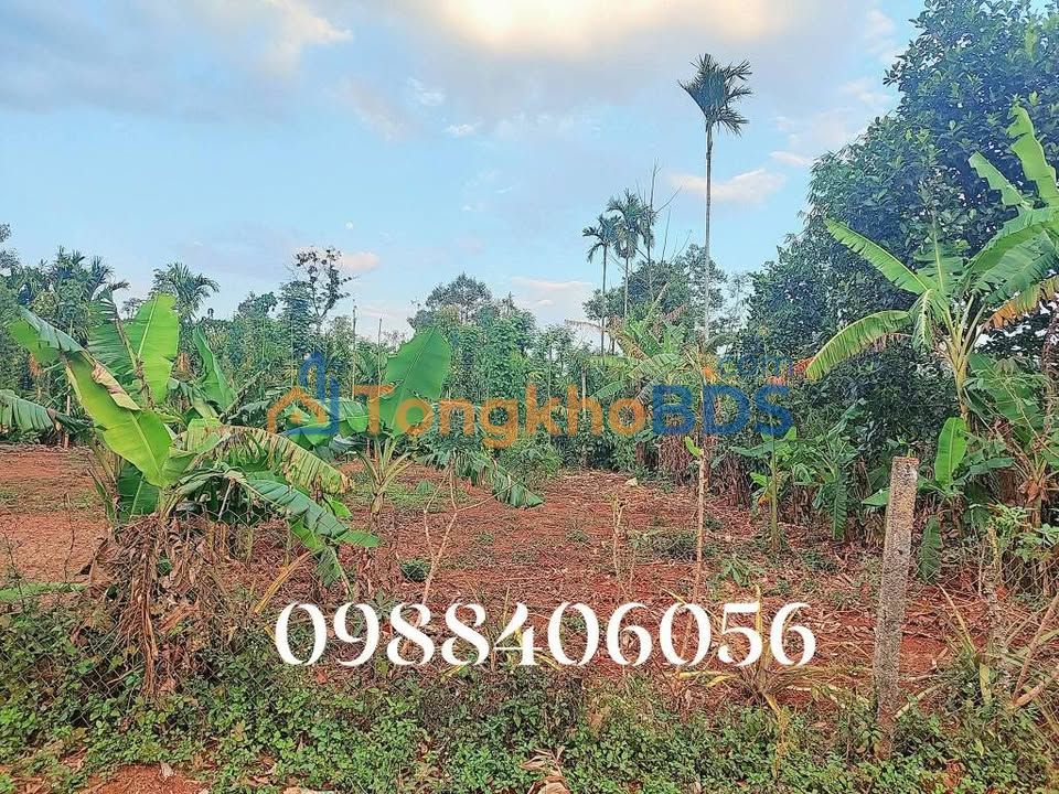 Đất nền Ea Tiêu Cư Kuin 120m² 305 triệu - Giá tốt hiếm có