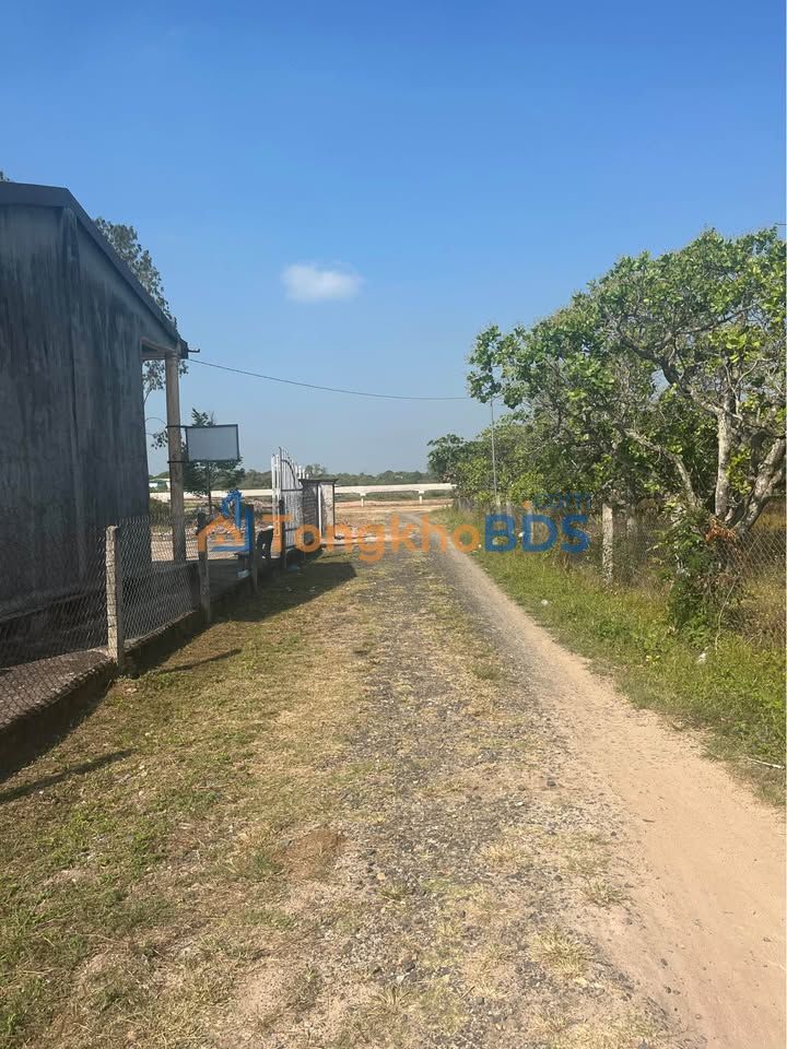 Đất nền Ea Đar 266m² 200 triệu - Đường to ô tô