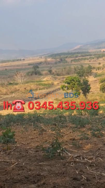 Đất Vườn Đắk Lắk 15.000m² Giá 320 Triệu - Sẵn Sàng Đầu Tư