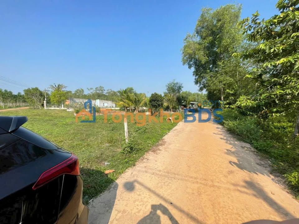 Đất Thổ Cư Dầu Tiếng 216m² - Sổ Hồng Sẵn - Giá Chỉ 4xx Triệu