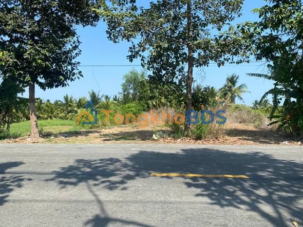 Bán Gấp Đất Vườn 1800m² Mặt Tiền Trương Vĩnh Trọng, Bến Tre - Giá Tốt