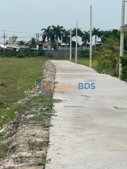 Bán Gấp 4 Lô Đất Thổ Cư 100% Sổ Hồng Riêng - Bến Lức, Long An