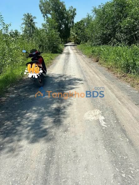 Đất Nền Đức Hòa 500m² - Sổ Hồng Thổ Cư, Giá Ngộp 1.3 Tỷ