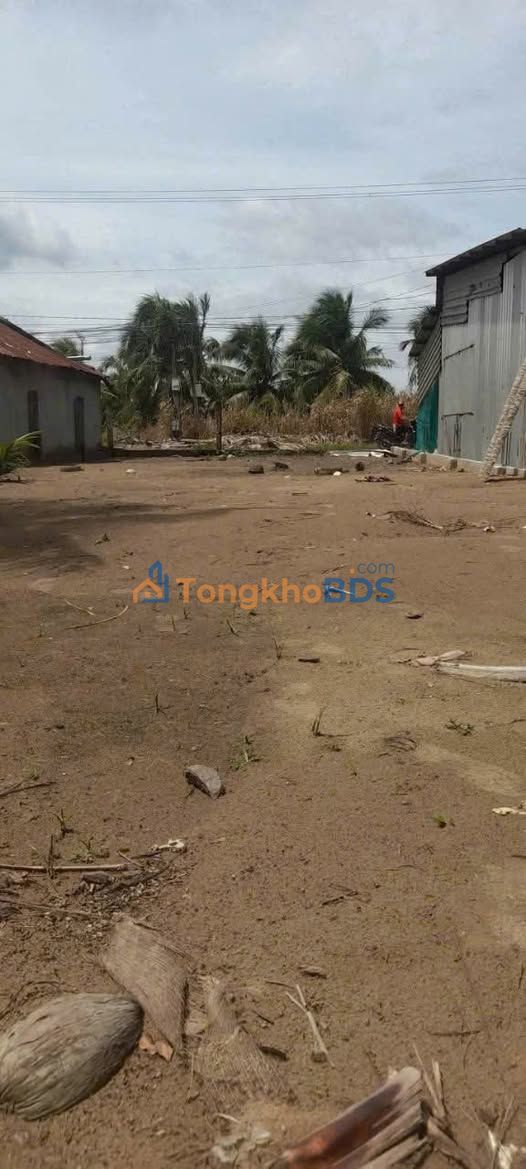 Bán Gấp Mặt Tiền 199m² Phong Nẫm, Giồng Trôm - Giá Tốt 590 Triệu