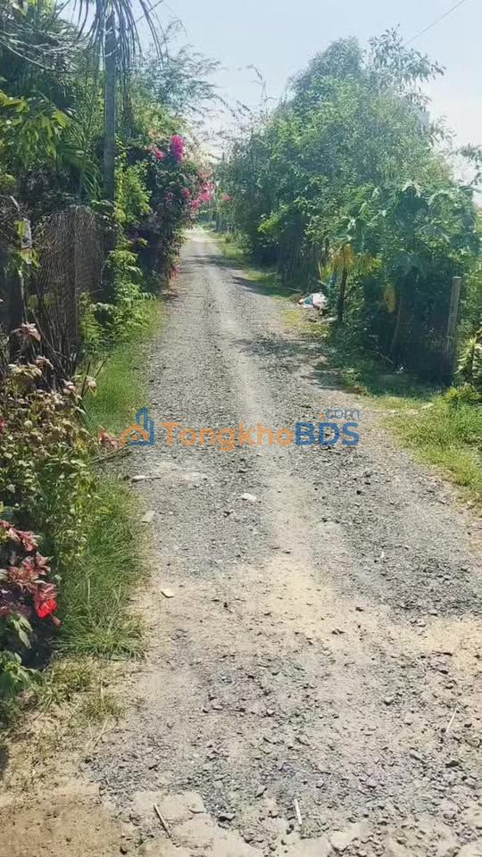 Nhà Sổ Hồng Riêng 85m² Ấp Mới 1, Đức Hòa - Giá 1.65 Tỷ