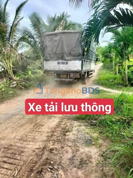 Bán Gấp 10 Công Đất Vườn, Lúa & Thổ Cư Tại Châu Thành, Trà Vinh - Giá Đầu Tư 2.05 Tỷ