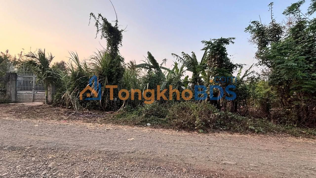 Đất nền Huyện Krông Năng 1650m² - Mặt tiền Đại lộ, Sẵn Sàng Đầu tư