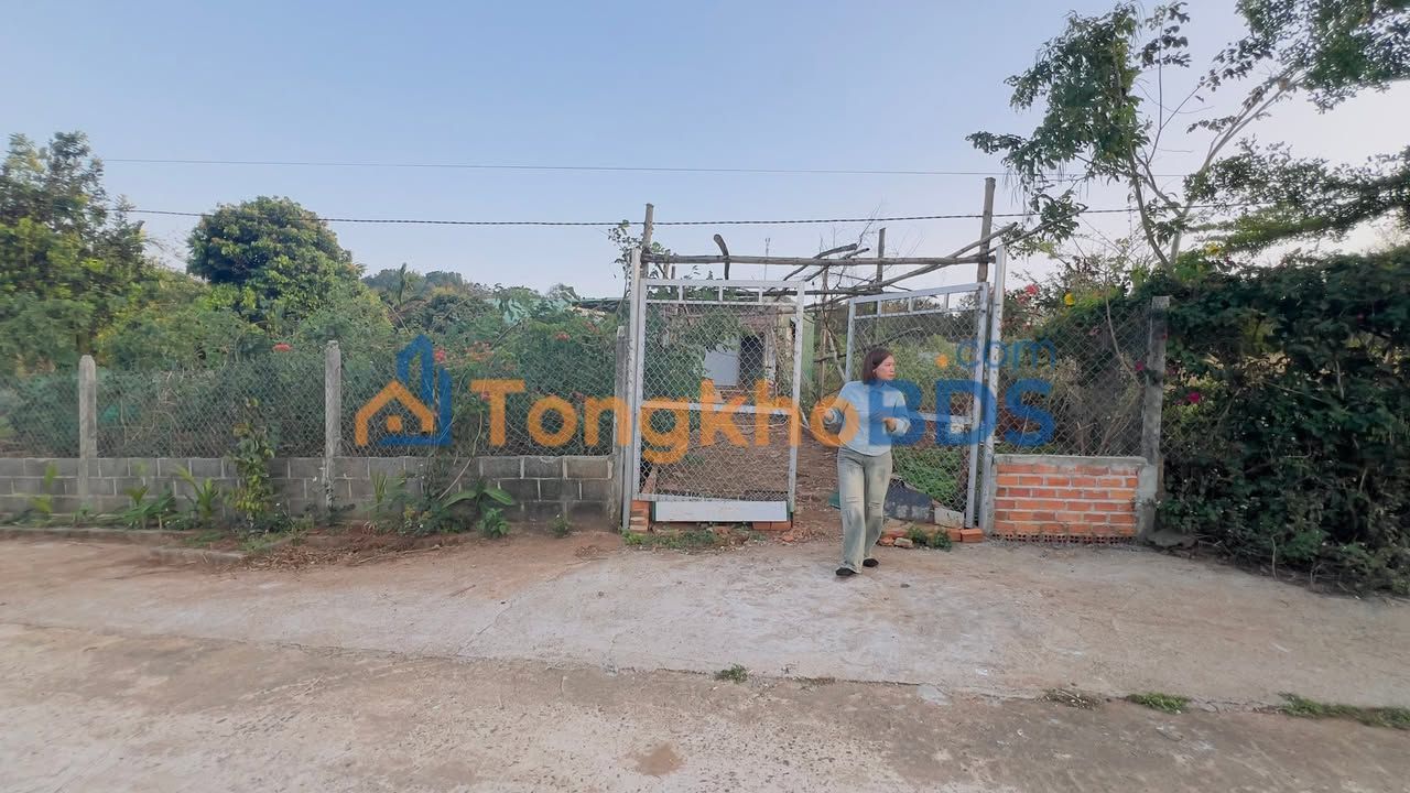 Đất Vườn Đồi Thông 1000m² - Sổ Đỏ Sẵn Sàng Gần Trung Tâm BMT