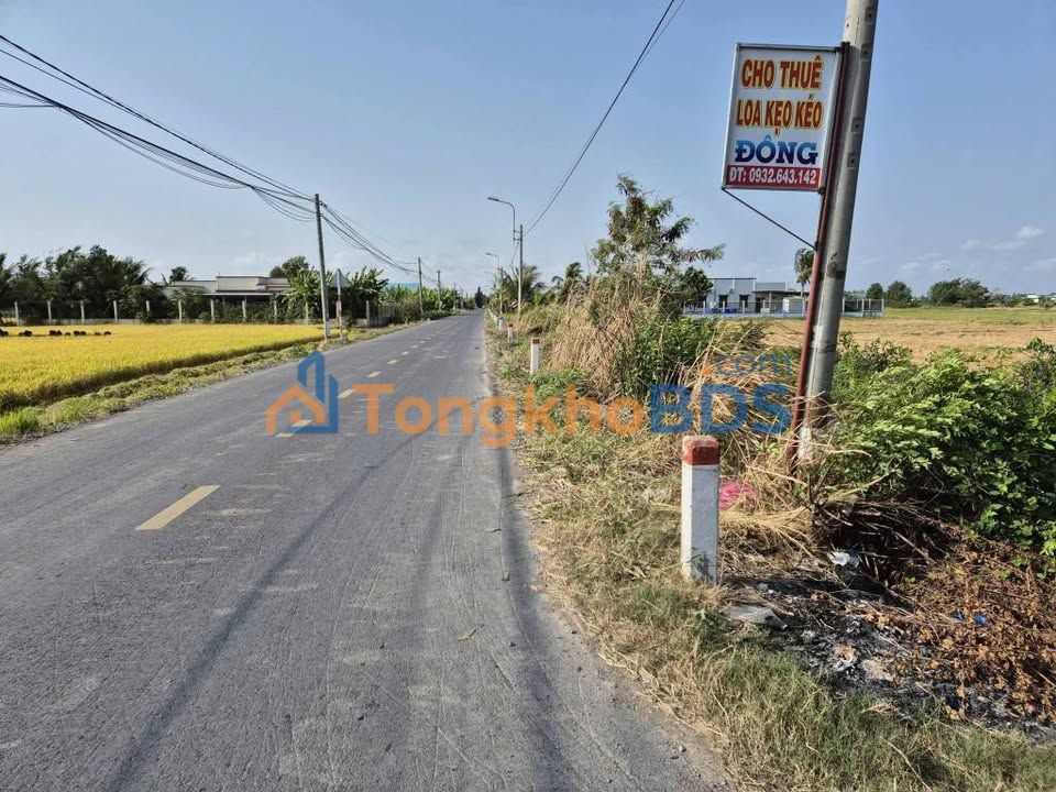 Bán Đất Thổ Cư 300m² Tân Lân, Cần Đước - Giá 820 Triệu Chính Chủ