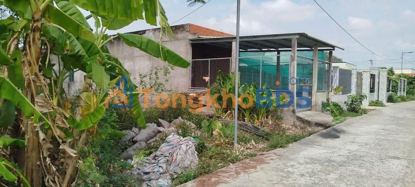 Đất nền Lợi Bình Nhơn 743m² 3.6 tỷ - Sổ đỏ chính chủ