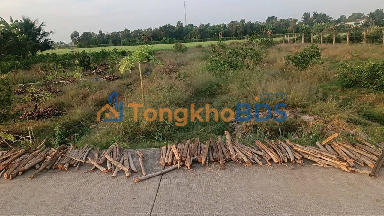 Đất nền F0 Tân Trụ, Long An - 165m² giá 450 triệu, đường ô tô