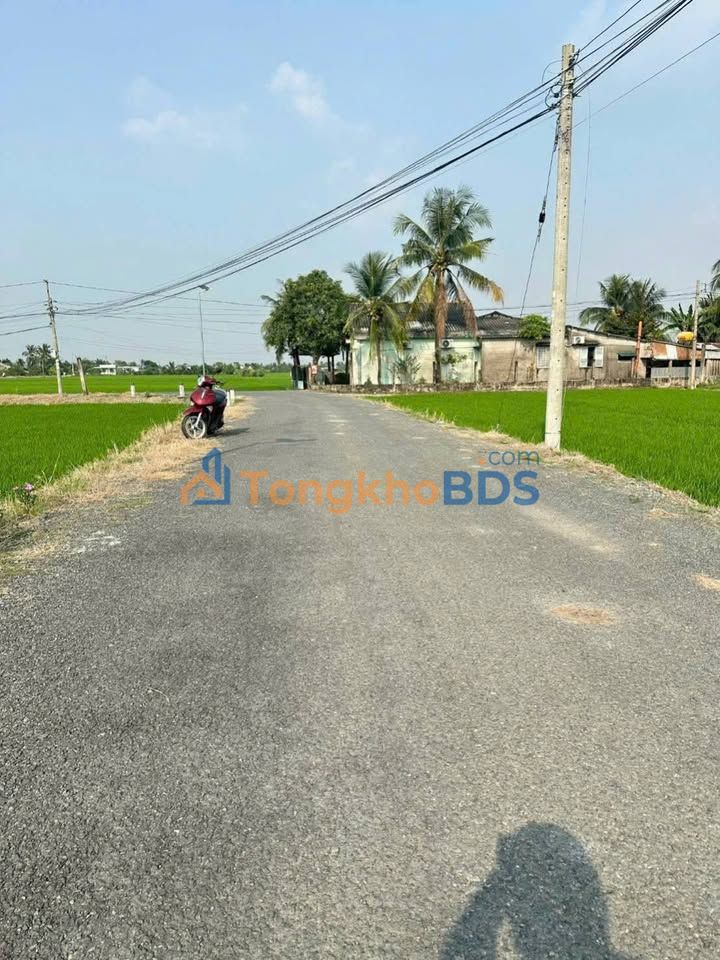 Đất nền Nhựt Ninh Tân Trụ 105m² 455 triệu - Đường to ô tô