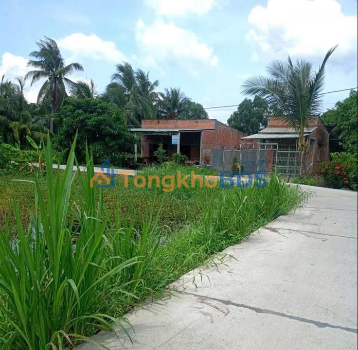 Nhà Mặt Tiền Đường Liên Khu Phố, Tân An - 1.65 Tỷ, 352m² Full Thổ Cư