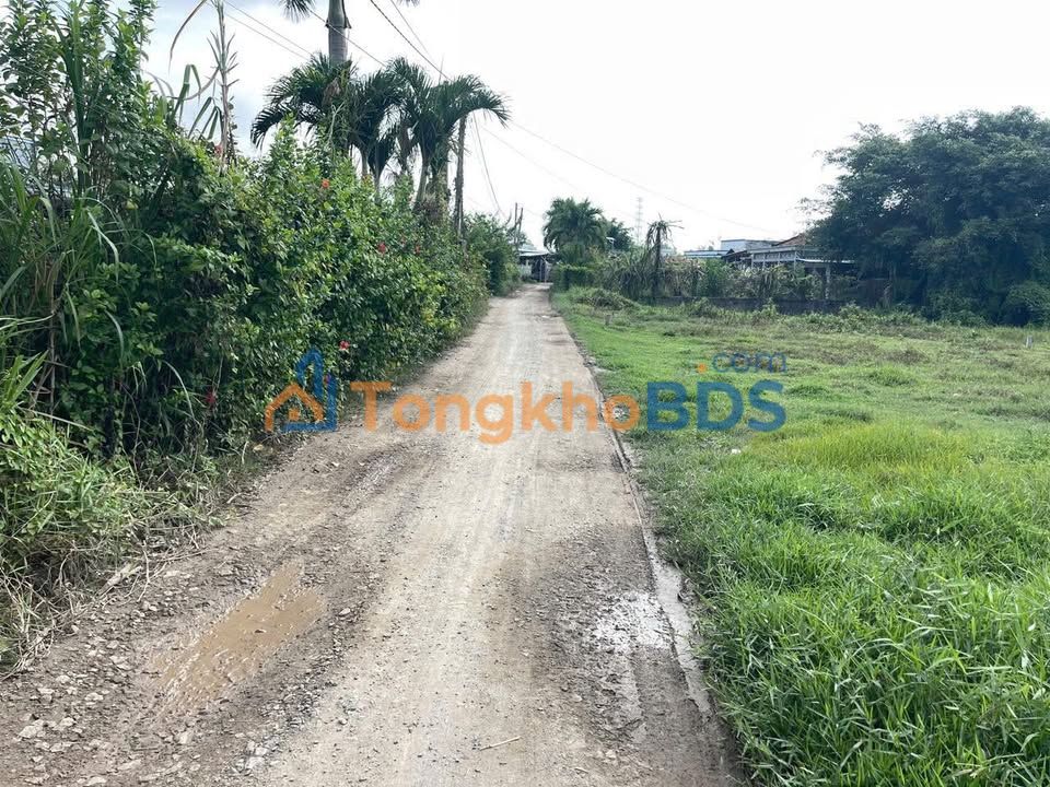 Đất Thổ Cư Tân Phú, Đức Hòa 130m² - Sổ Hồng Sẵn Sàng