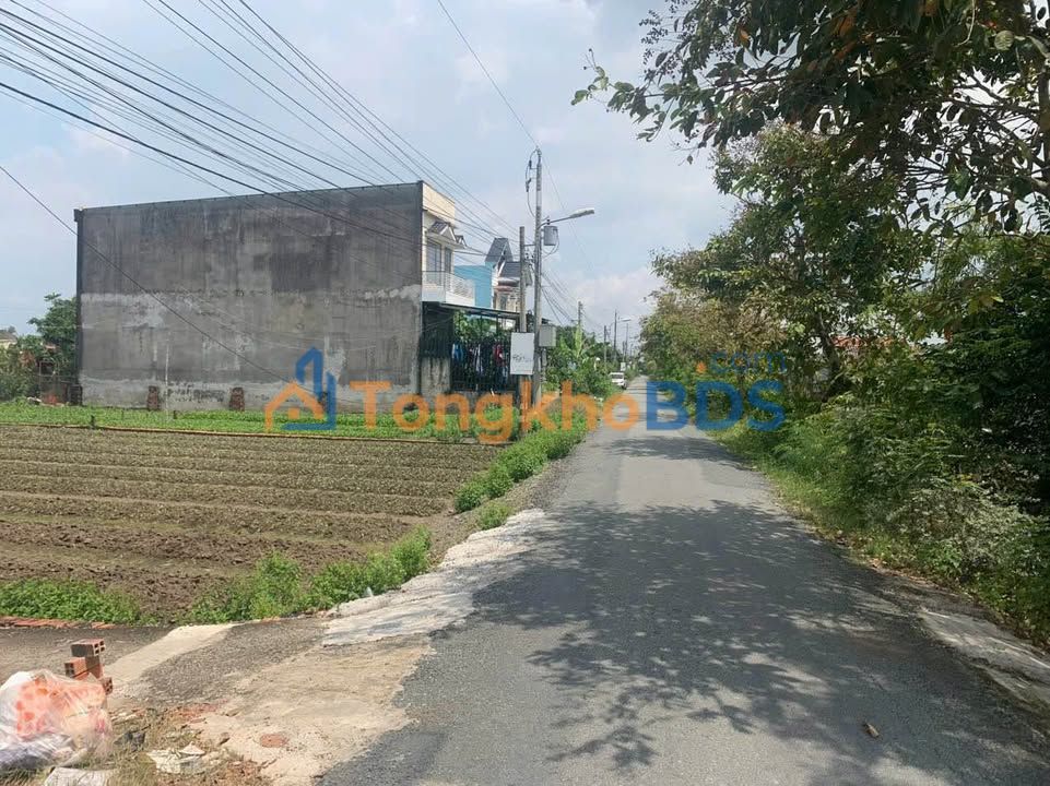 Đất thổ 134m² Phước Lý, Long An - 2 Mặt Tiền Lộ Nhựa, Kinh Doanh Tốt