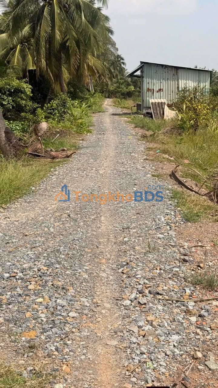 Bán Gấp Đất Vườn 7976m² Trồng Chanh, Xã Lương Hòa, Bến Lức - Giá Đầu Tư 5.18 Tỷ