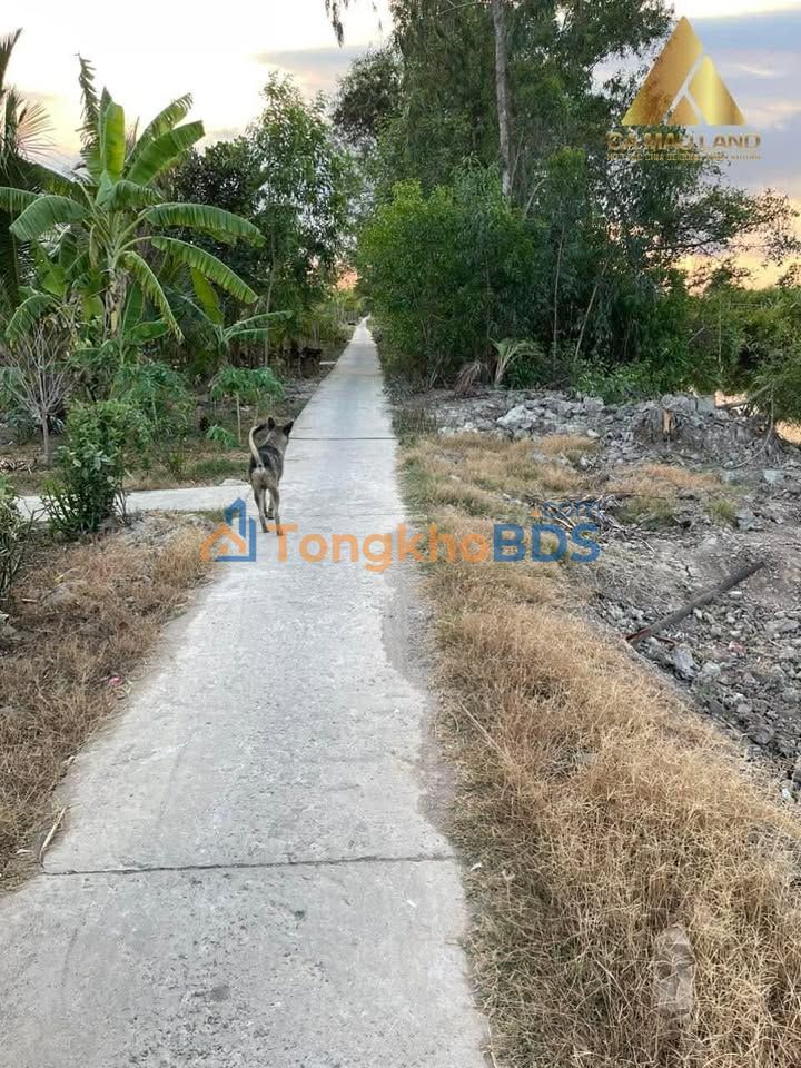 Bán đất 36.000m² mặt tiền Quốc lộ Trần Văn Thời, Cà Mau - Giá 1.25 tỷ