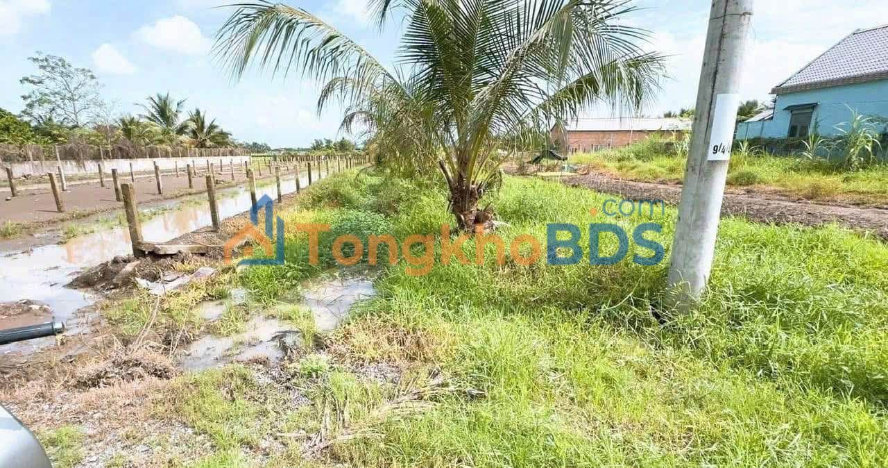 Đất vườn Trung Hòa Tiền Giang 944m² 950 triệu - Giá tốt hiếm có