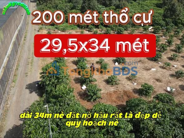 Đất View Hồ Tây - Di Linh 360m² Sổ Hồng - Giá 3.1 Tỷ