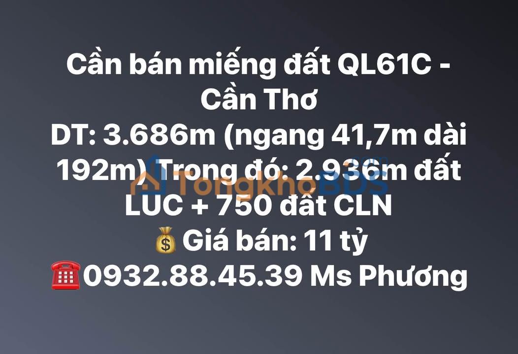 Đất Vàng QL61C Cần Thơ 3.686m² - Sổ Đỏ Rõ Ràng, Giá Đầu Tư 11 Tỷ