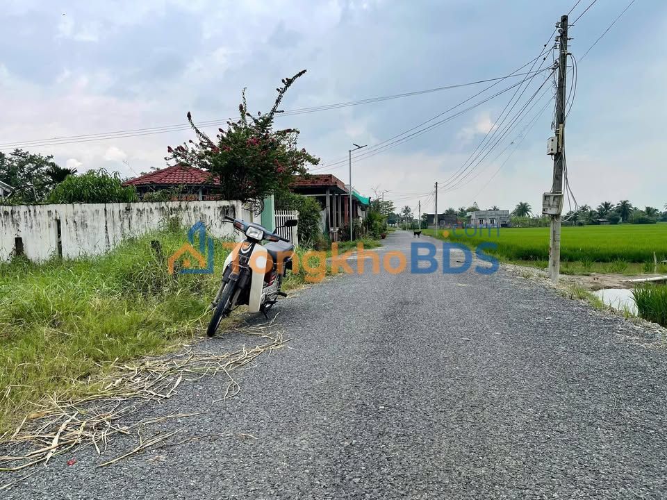 Đất Vườn 4182m² Xã Vàm Cỏ, Long An - Giá Đầu Tư 2.5 Tỷ