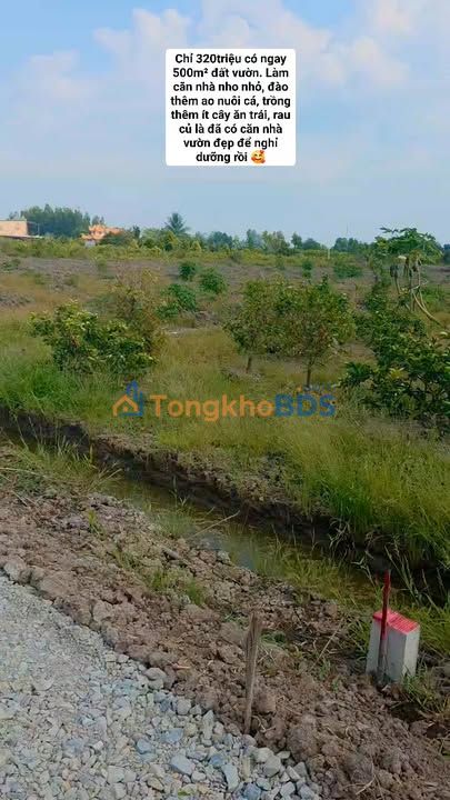 Đất Vườn Bến Lức 500m² Giá Tốt - Đầu Tư Sinh Lời