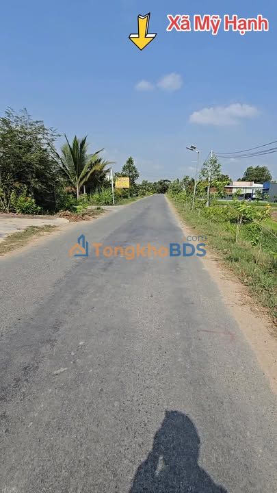 Đất nền Mỹ Hạnh Nam 220m² - Sổ hồng chính chủ, giá 1.65 tỷ