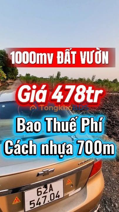 Đất Vườn Long An 1000m² Sổ Hồng Sẵn Sàng - Giá Đầu Tư 478 Triệu