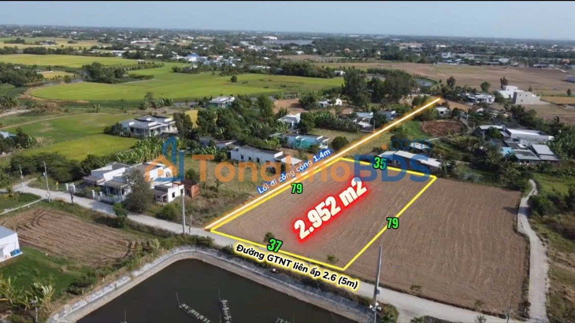 Đất Vàng 2952m² Cần Đước, Long An - Lô Góc 2 Mặt Tiền, Tiềm Năng Sinh Lời