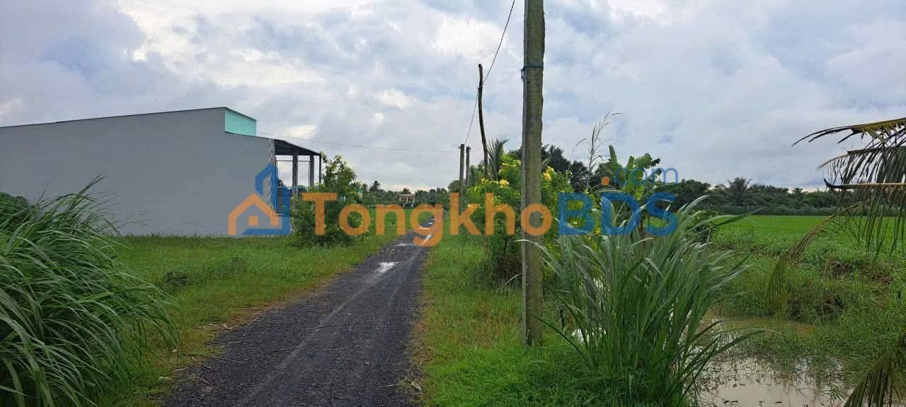 Đất nền 135m² Gò Công Tây, Tiền Giang - Sổ sẵn, giá 290 triệu