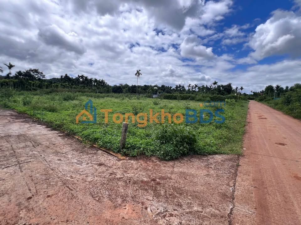 Đất nền Buôn Ma Thuột - Lốc 4 lô liền kề F0 tại Hòa Thắng, Đắk Lắk