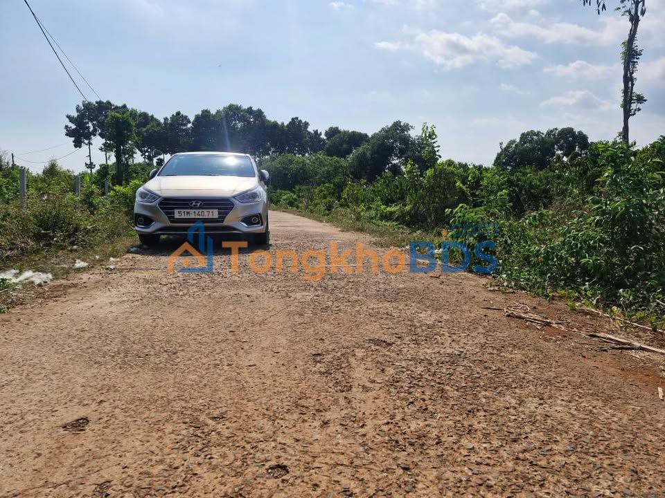 Đất Vườn 6000m² Mặt Tiền 38m Kim Long, Châu Đức - Giá Đầu Tư 6 Tỷ