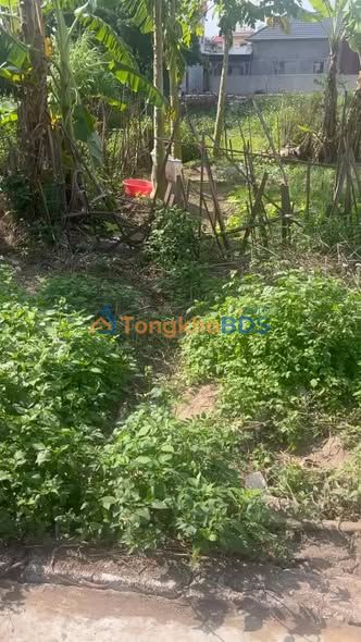 Đất nền Yên Mô Ninh Bình 90m² mặt tiền 6m - Sổ đỏ sẵn sàng