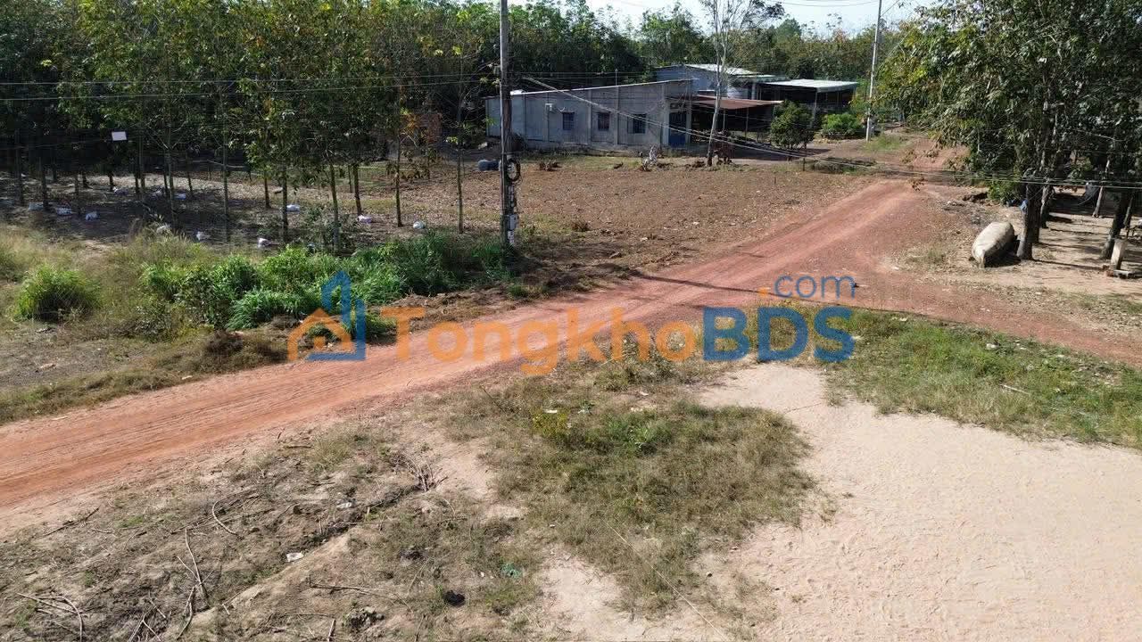 Bán Gấp Đất Vườn 4500m² An Long, Bình Dương - Giá Đầu Tư 4xx Tỷ