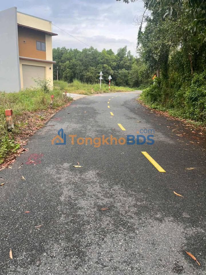 Đất Nền Sổ Riêng 264m² Xã Đất Đỏ, BR-VT - Giá Tốt 830 Triệu