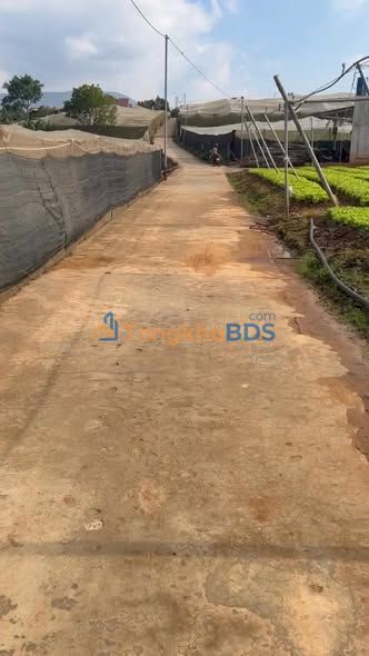 Bán Đất Vườn 5 Sào Ka Đô, Đơn Dương - Sổ Hồng Riêng, Giá Đầu Tư 5 Tỷ