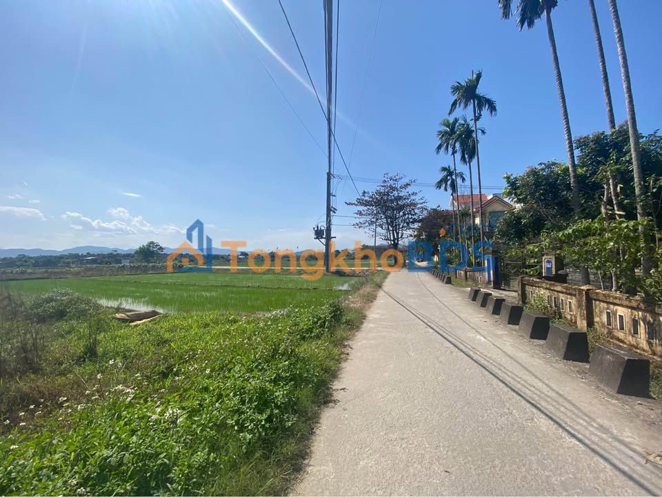 Đất nền 170m² Phạm Tu, Huế - View đồng thoáng mát, giá tốt đầu tư