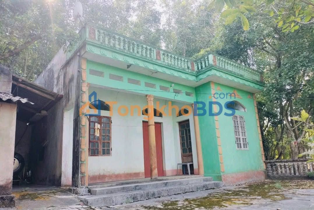 Bán Gấp Vườn 3000m² Tam Hiệp, Yên Thế - Mặt Tiền Bê Tông 40m, Giá 2 Tỷ